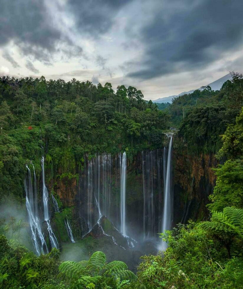 majestuoso cascada rodeado por lozano selva y hermosa escénico paisaje poderoso tropical cascada en lozano selva con sereno belleza y ambiental conservación. foto