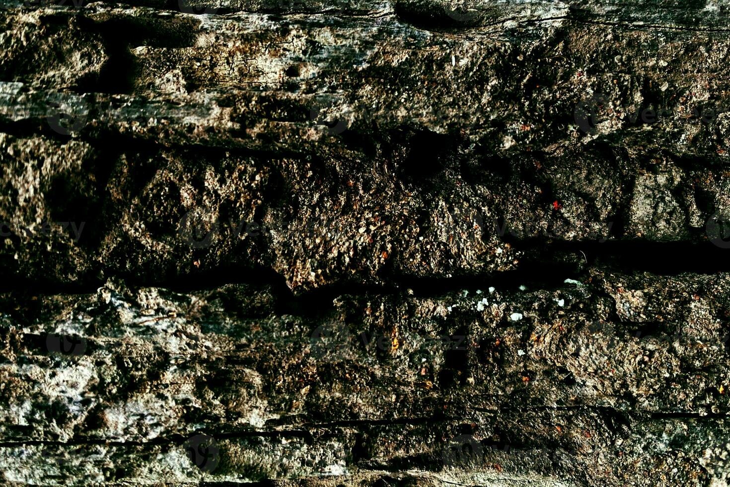 Photo dark wood background. wooden board texture. structure of natural plank.