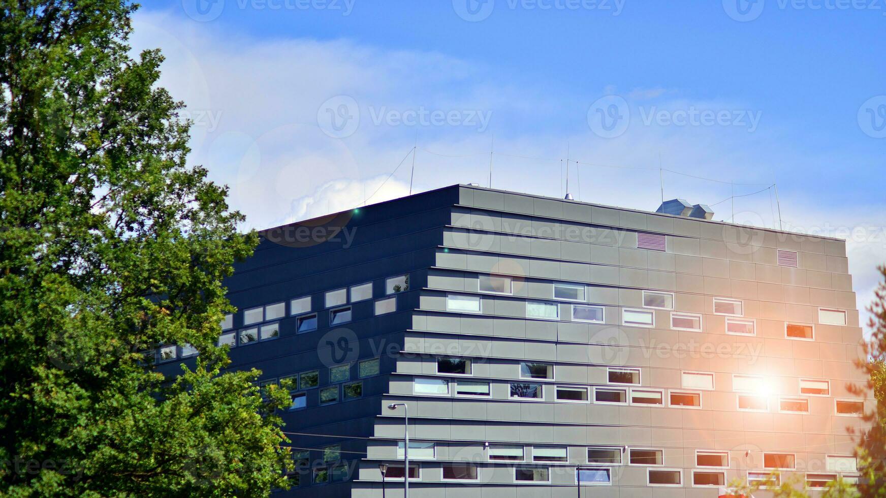 Eco architecture. Details of facade glass and aluminum panels on  building. Green tree and modern office building. The harmony of nature and modernity. photo