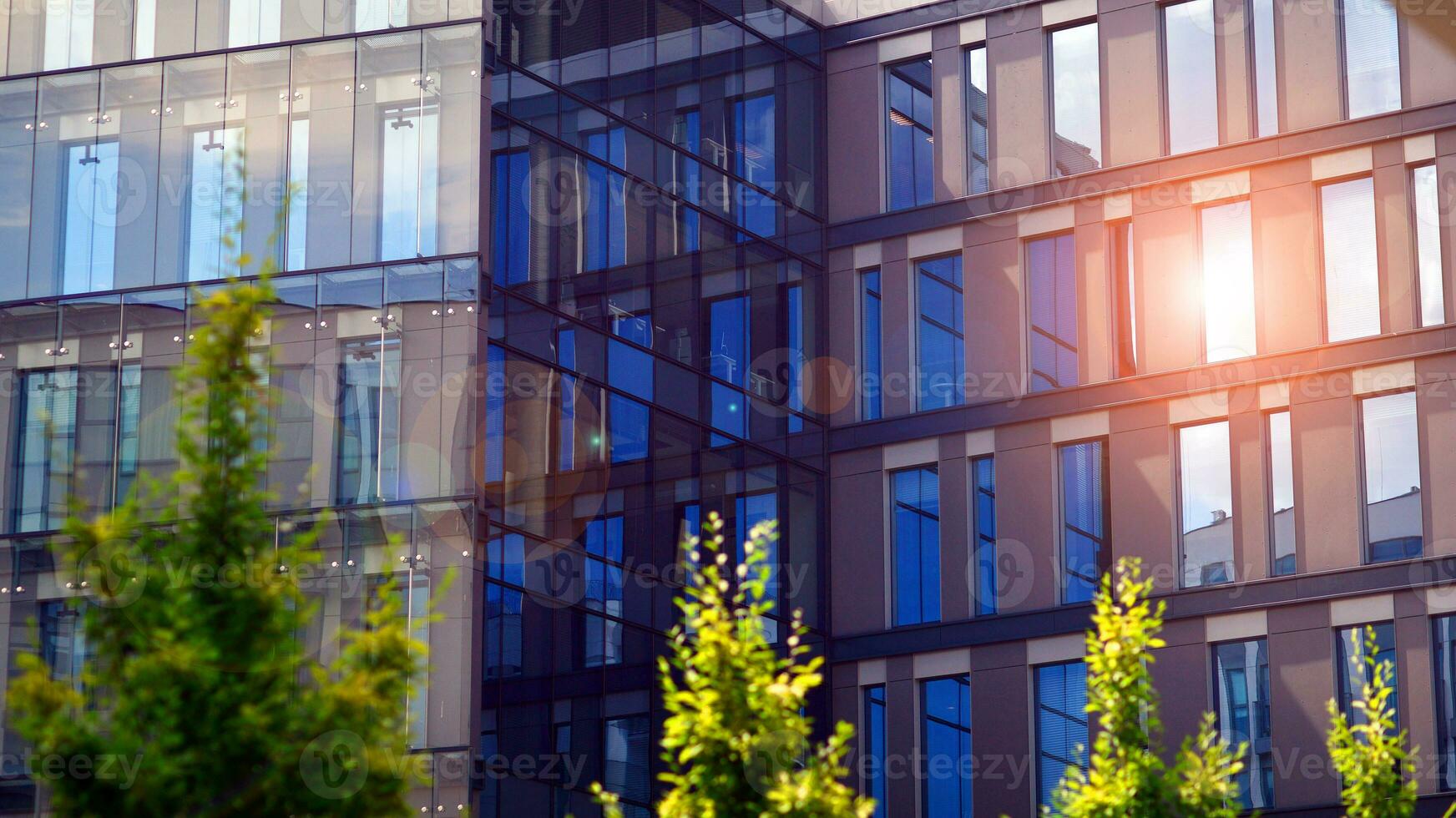 Fresh green trees and office building, business concept. Eco building in modern city concept. photo