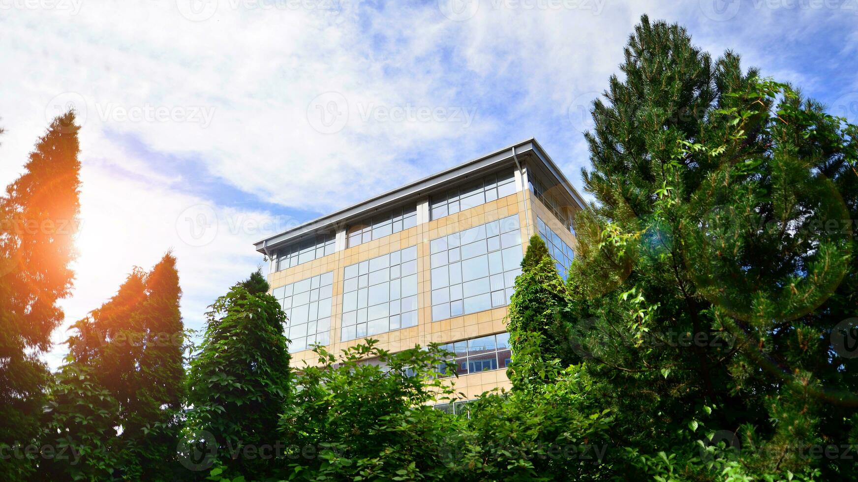 Eco building in modern city concept. Fresh green trees and office building, business concept. photo