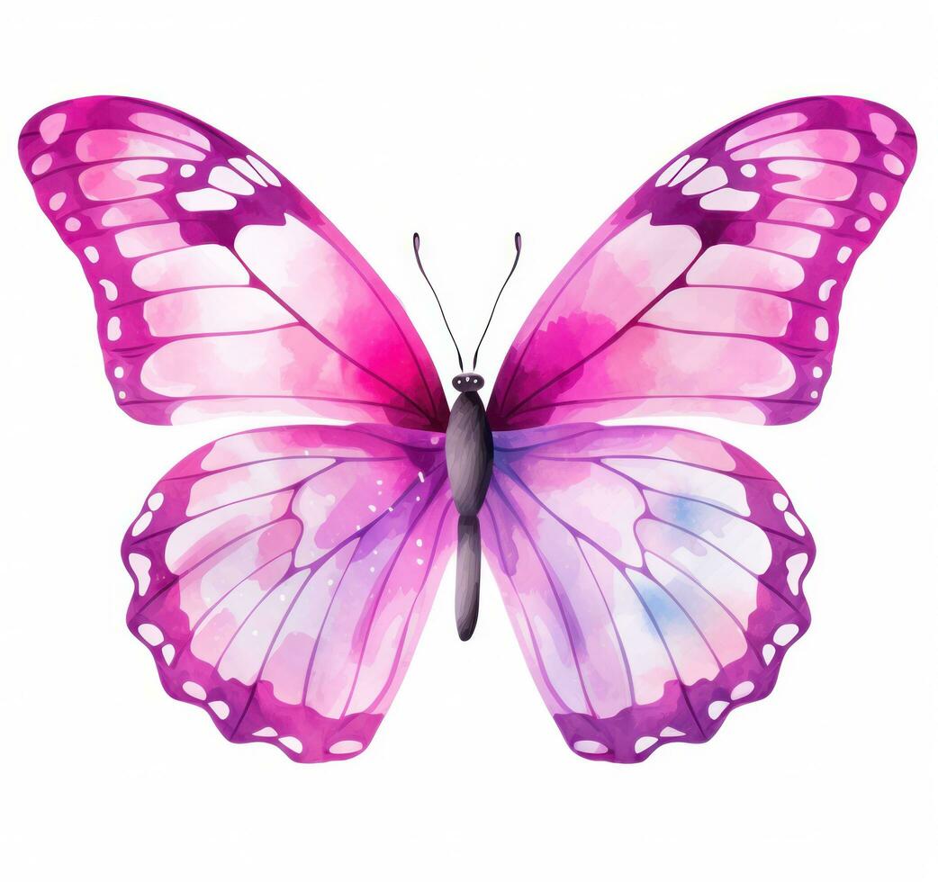 Watercolor butterfly isolated. photo