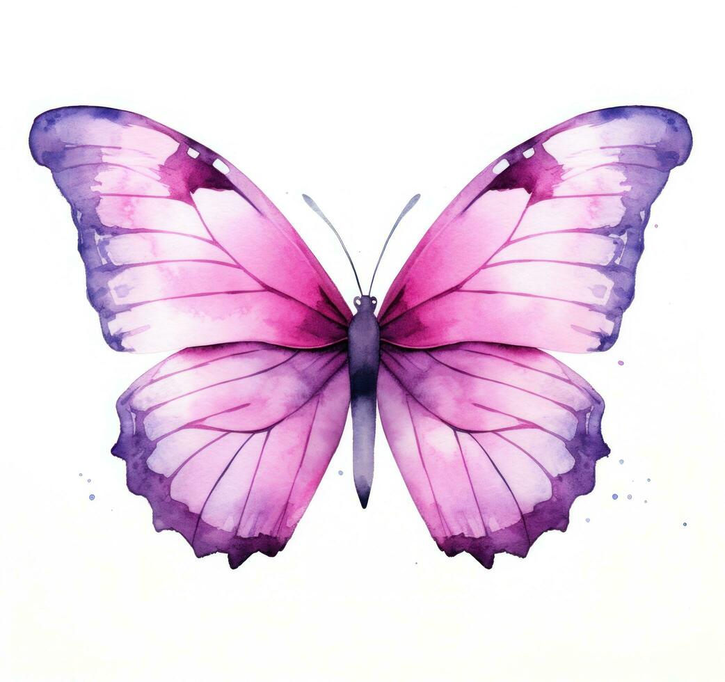 Watercolor butterfly isolated. photo