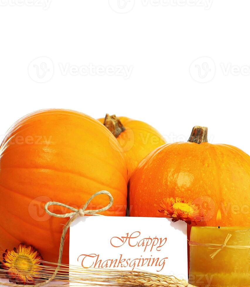 Thanksgiving holiday decorative border photo