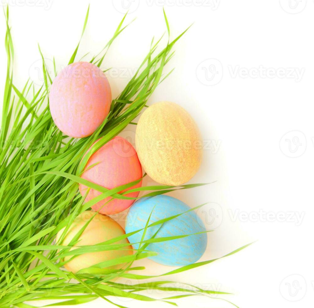 Easter colorful eggs photo