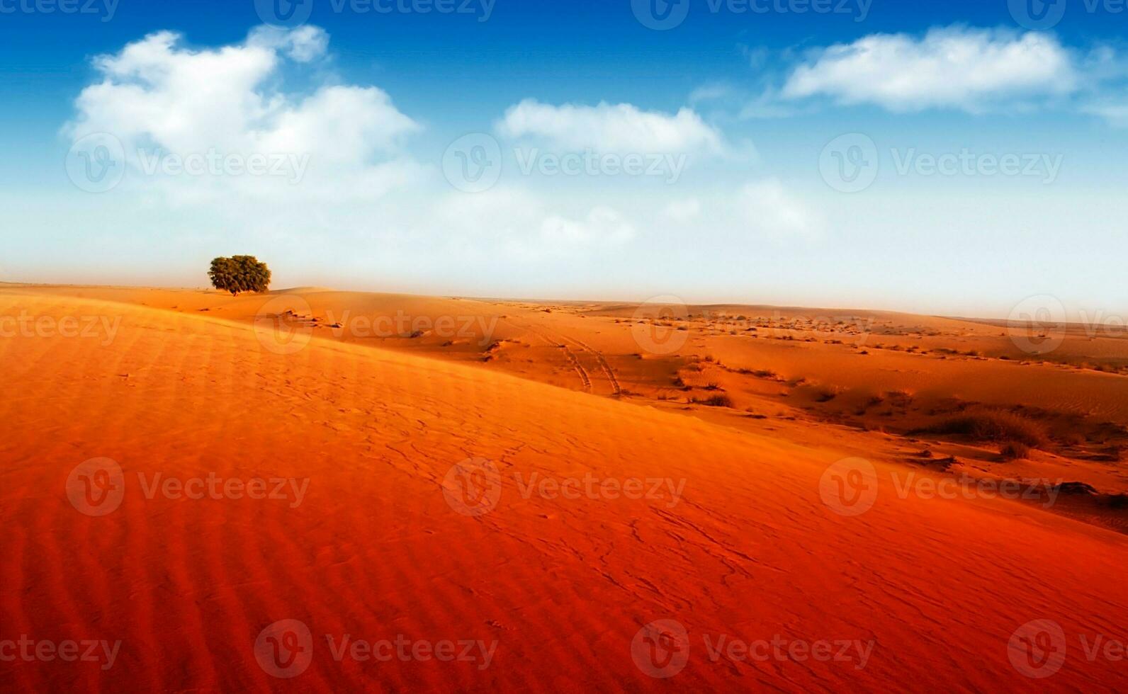 Extreme dry desert photo