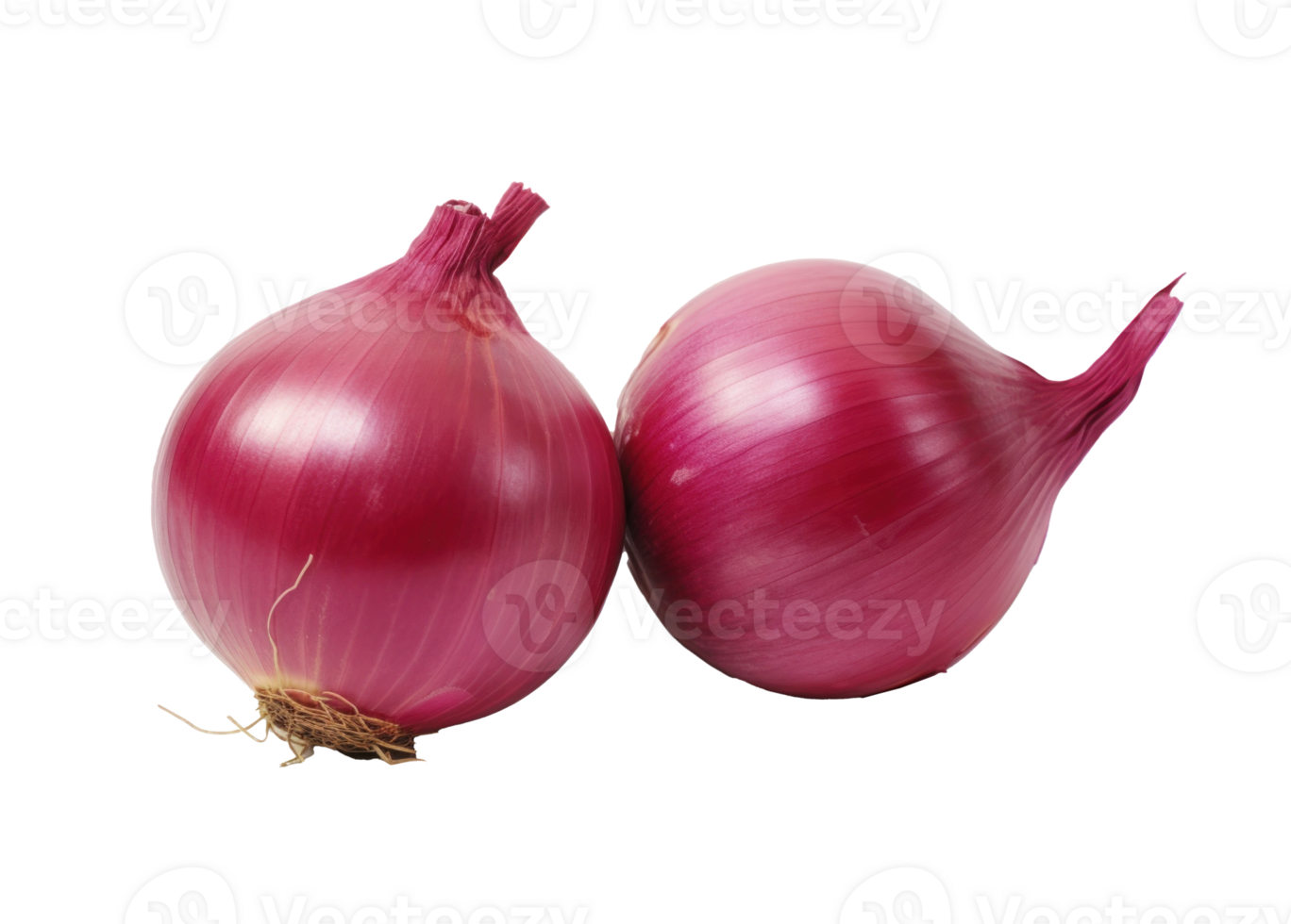 MEGA Onion  Рим