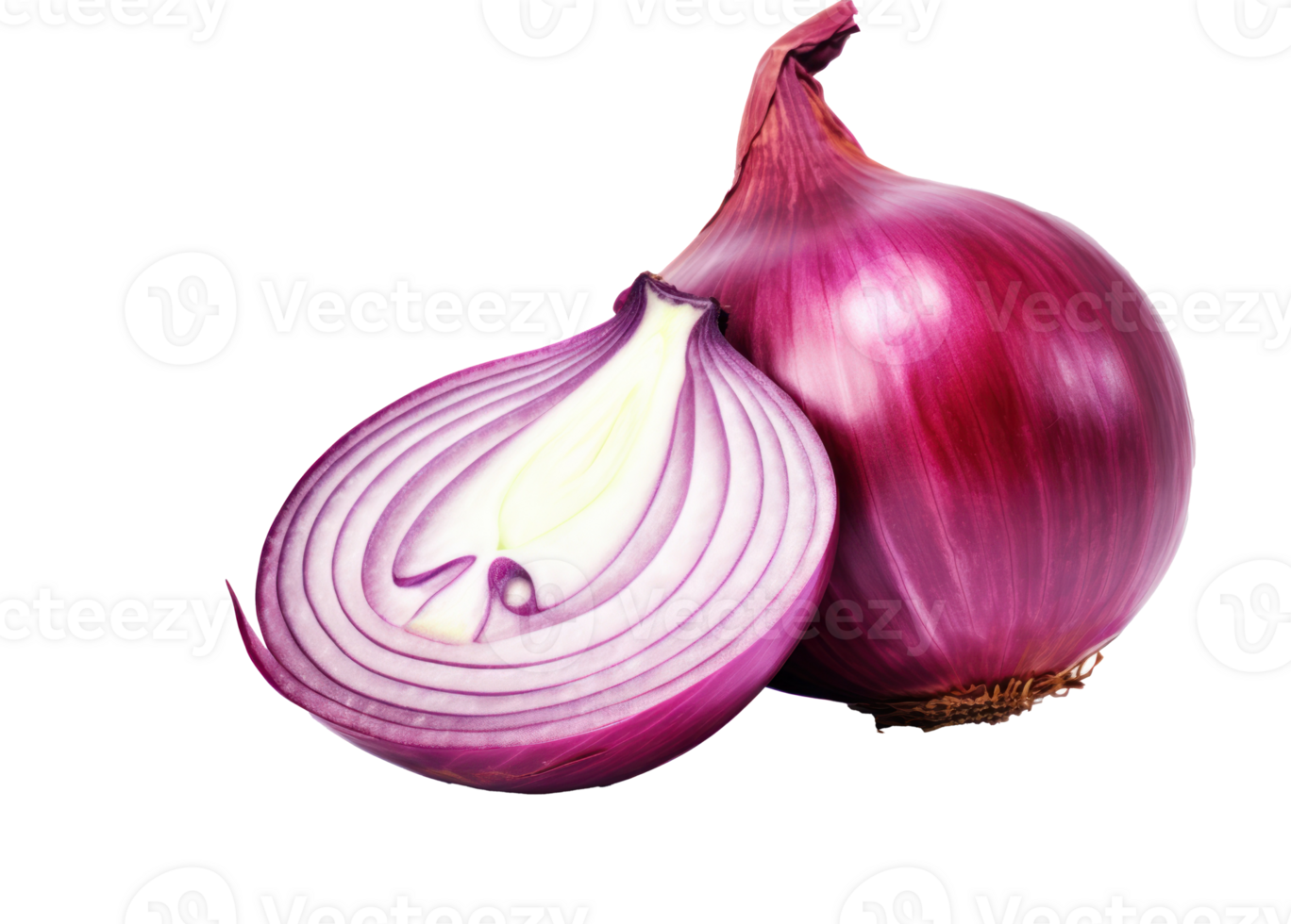 Red ripe onion isolated png