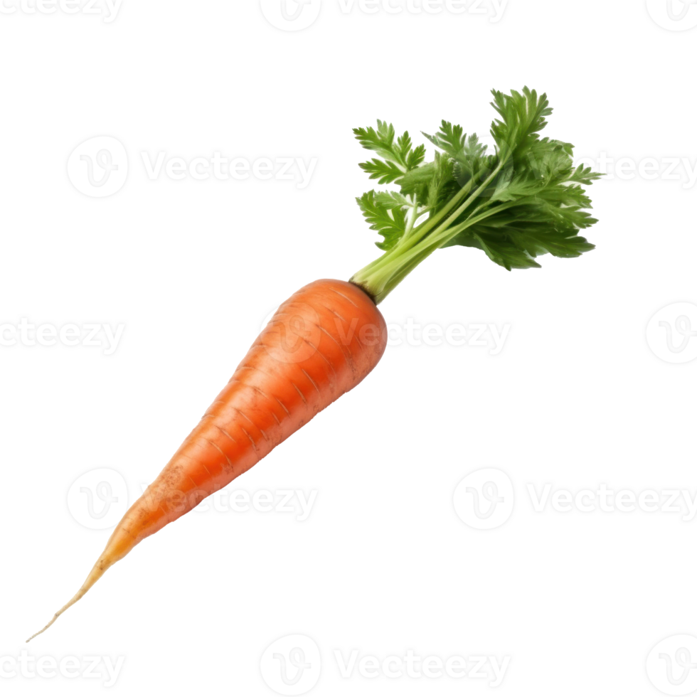 Ripe orange carrot isolated png