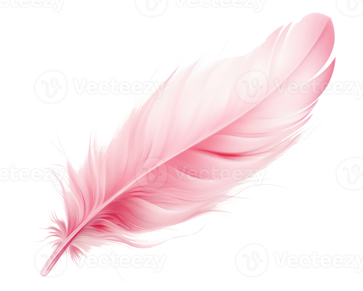 Pink feather isolated png