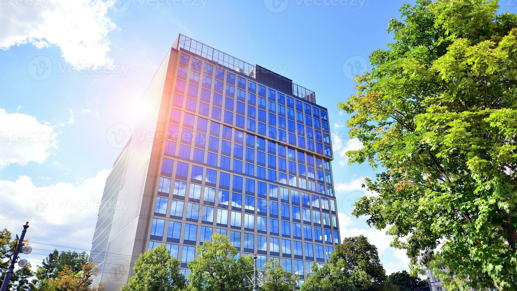 Eco building in modern city concept. Fresh green trees and office building, business concept. photo