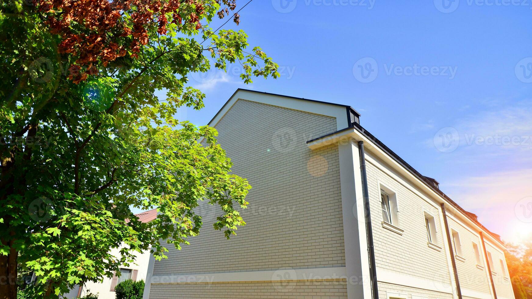 Eco architecture. Green tree and apartment building. The harmony of nature and modernity. photo