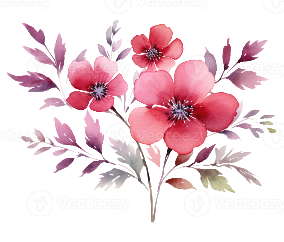 Pink watercolor flowers isolated png
