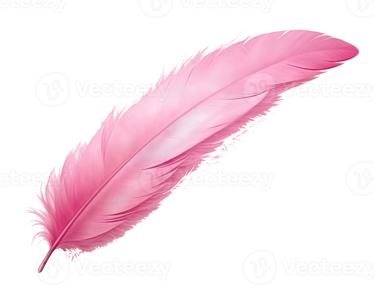 Pink feather isolated png