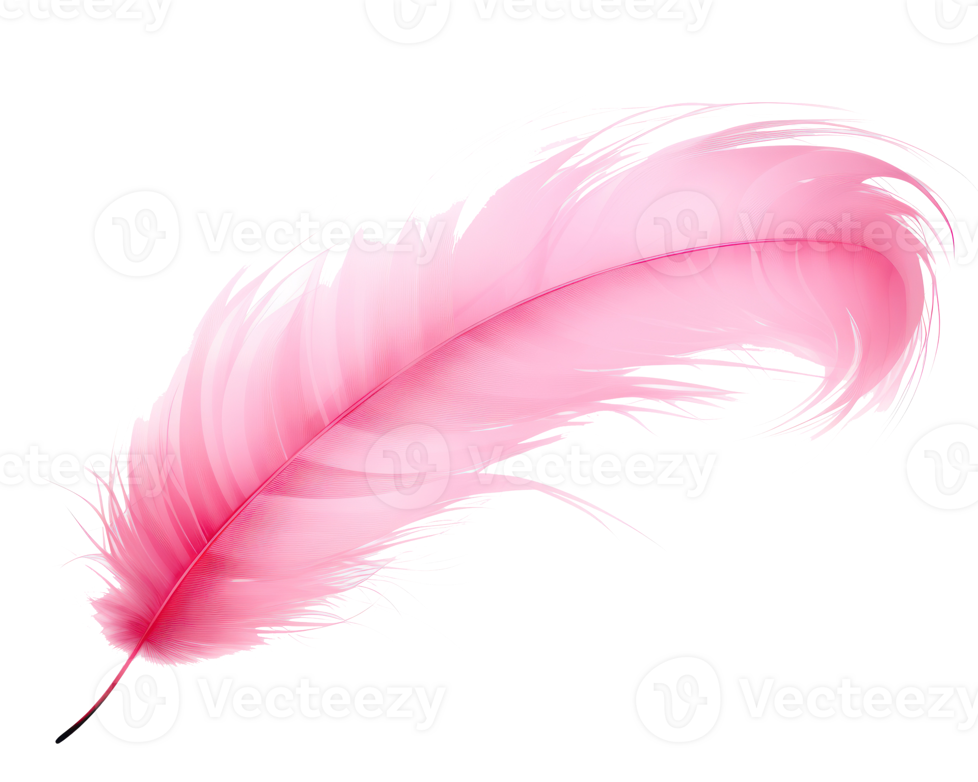 Pink feather isolated 27851841 PNG