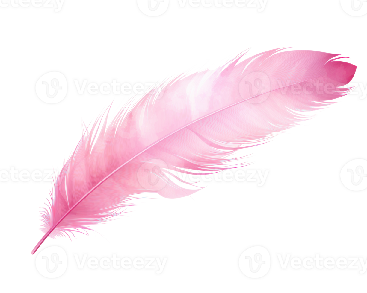 Pink feather isolated png