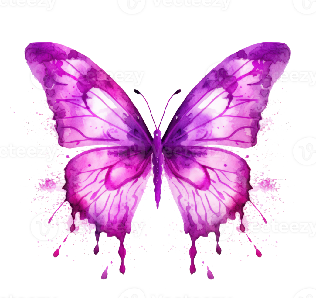 Watercolor butterfly isolated png