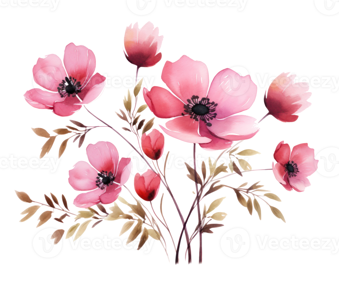 Pink watercolor flowers isolated png