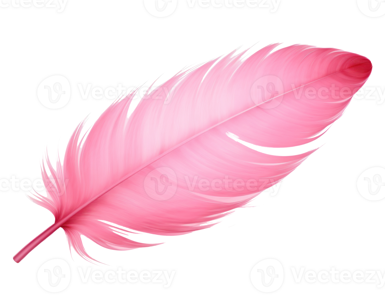 Pink feather isolated png