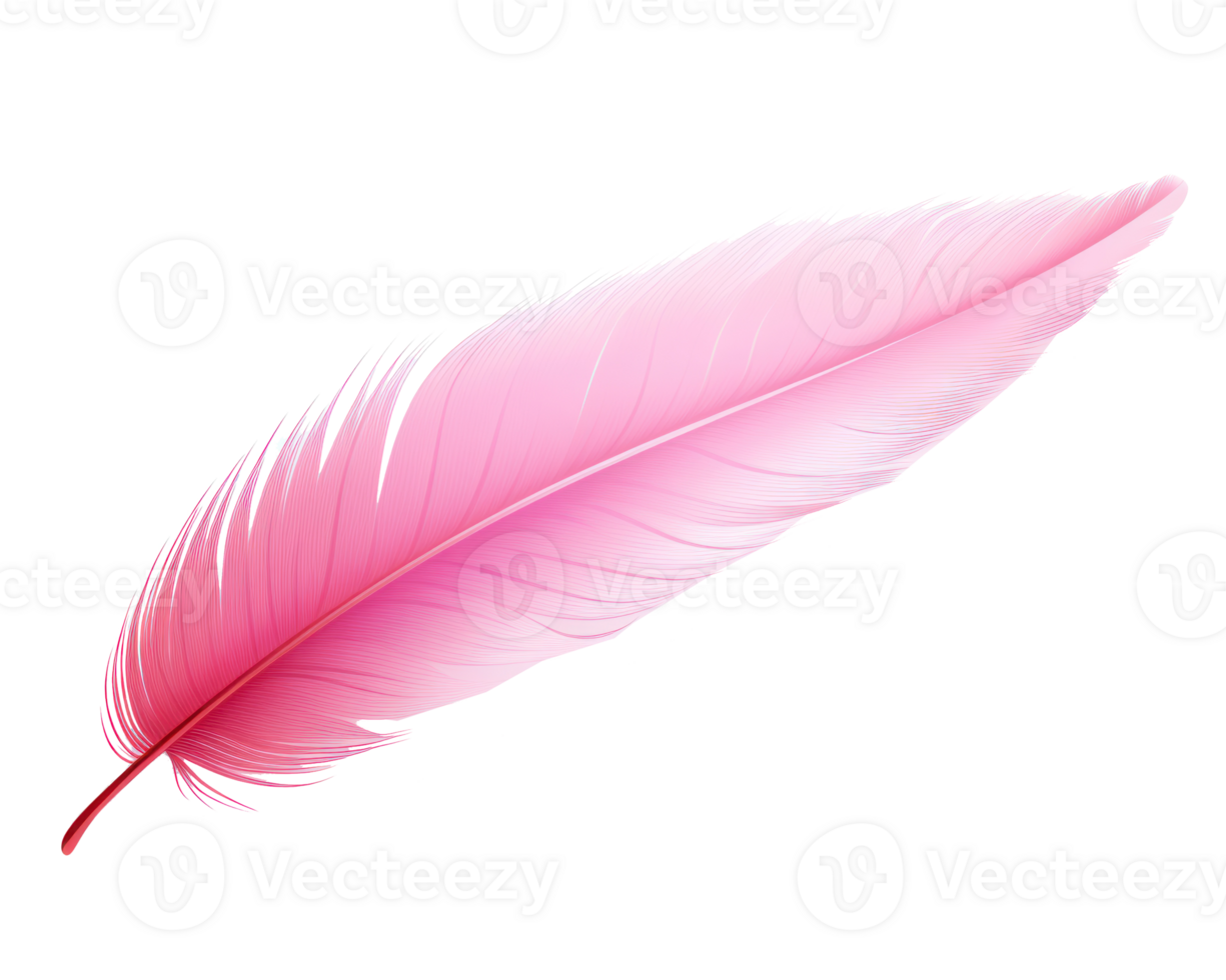 Pink feather isolated png