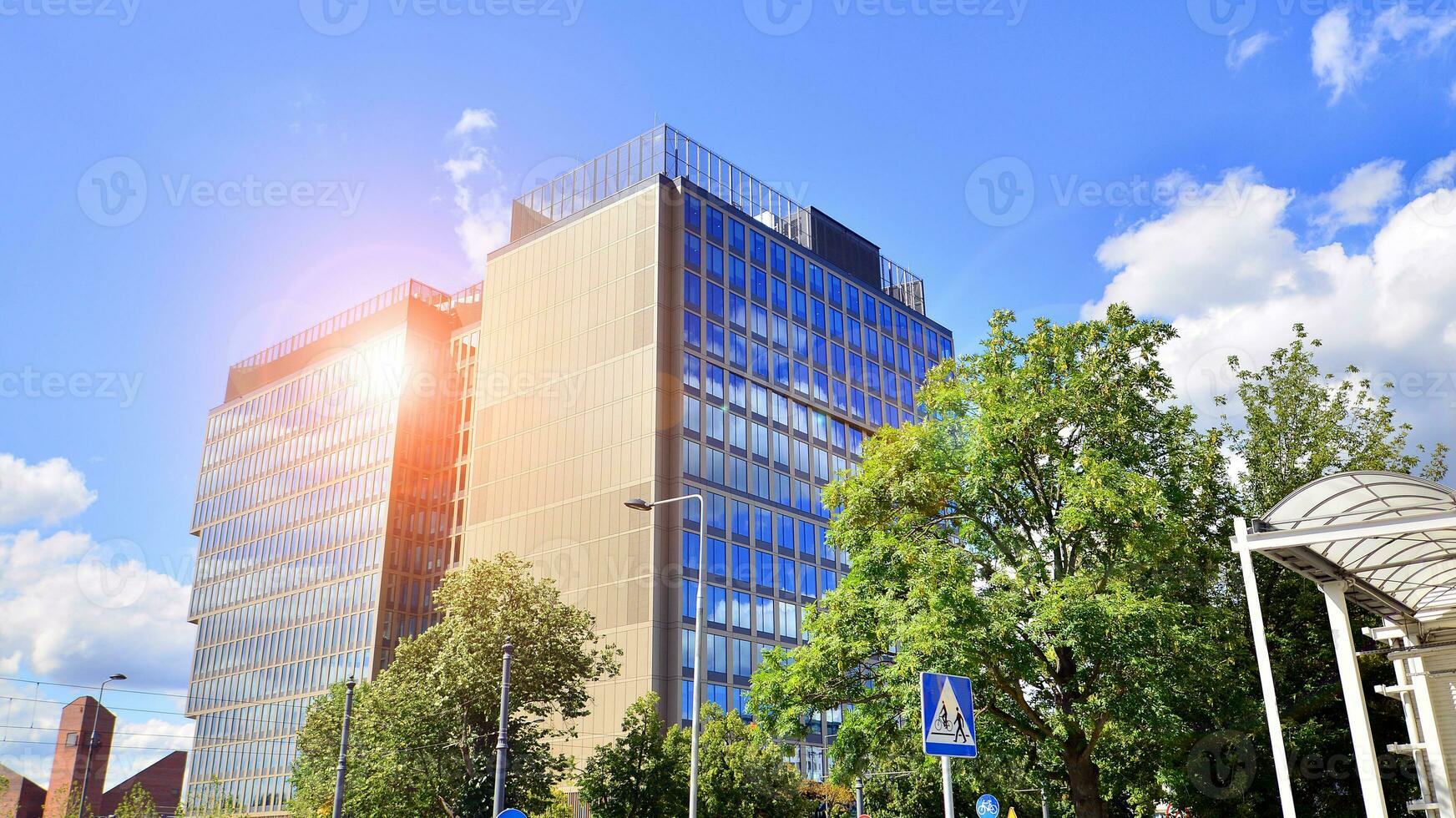 Eco building in modern city concept. Fresh green trees and office building, business concept. photo