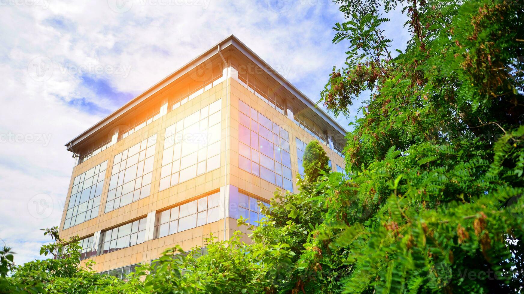 Eco building in modern city concept. Fresh green trees and office building, business concept. photo