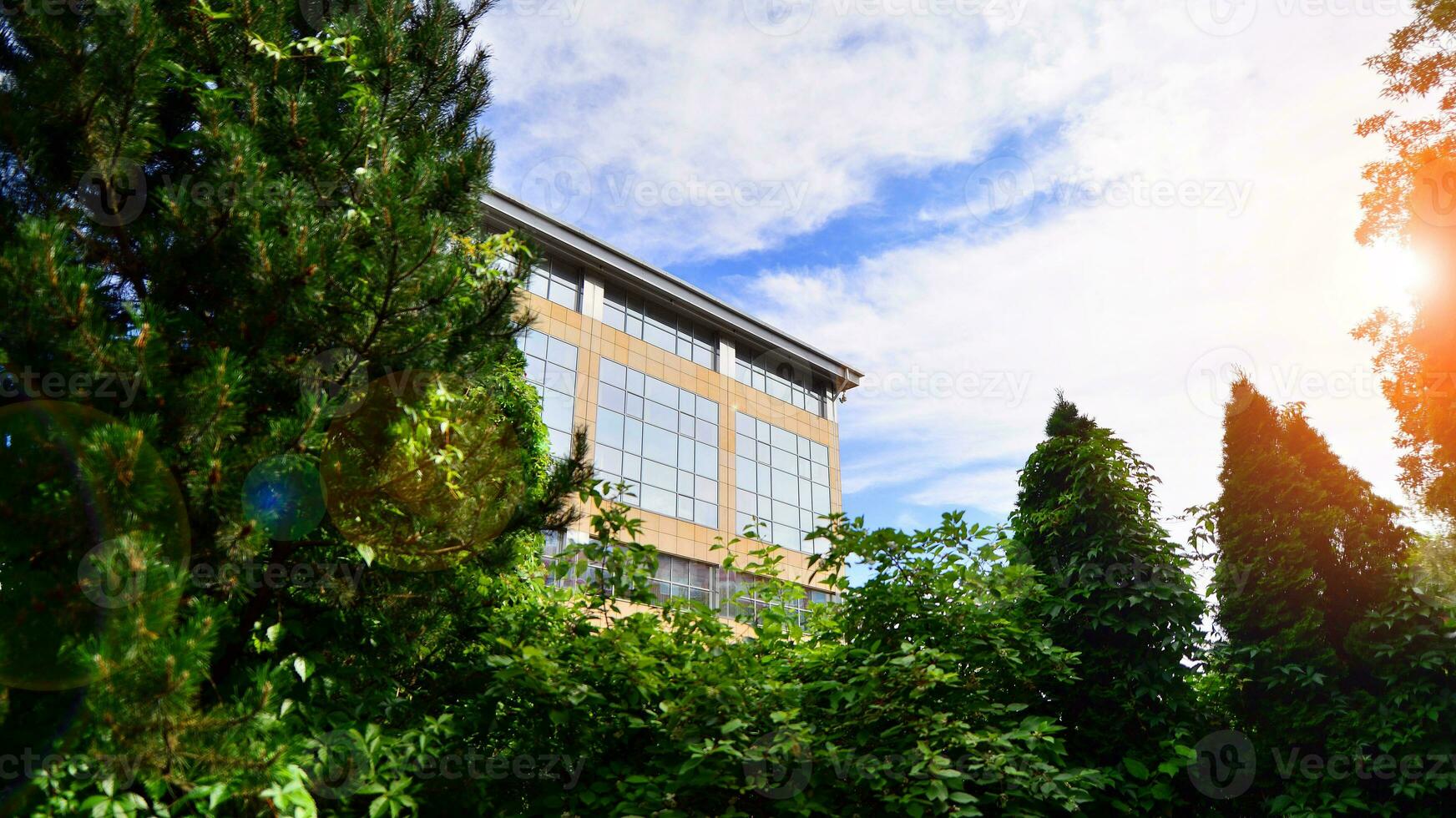 Eco building in modern city concept. Fresh green trees and office building, business concept. photo
