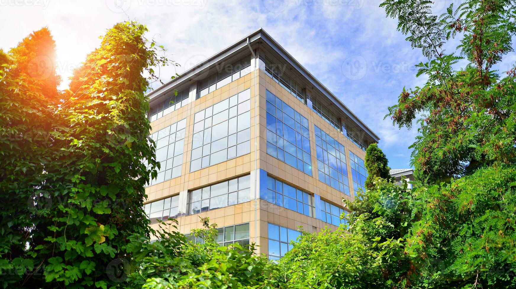Eco building in modern city concept. Fresh green trees and office building, business concept. photo
