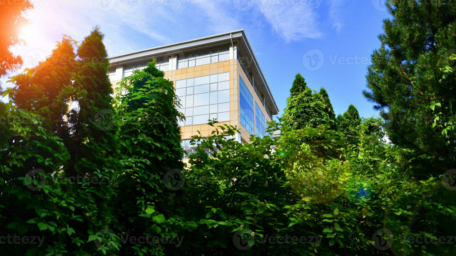 Eco building in modern city concept. Fresh green trees and office building, business concept. photo