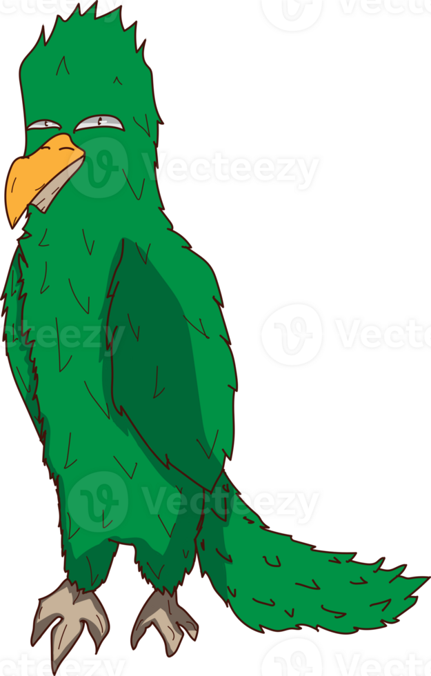 groen papegaai tekening illustratie png