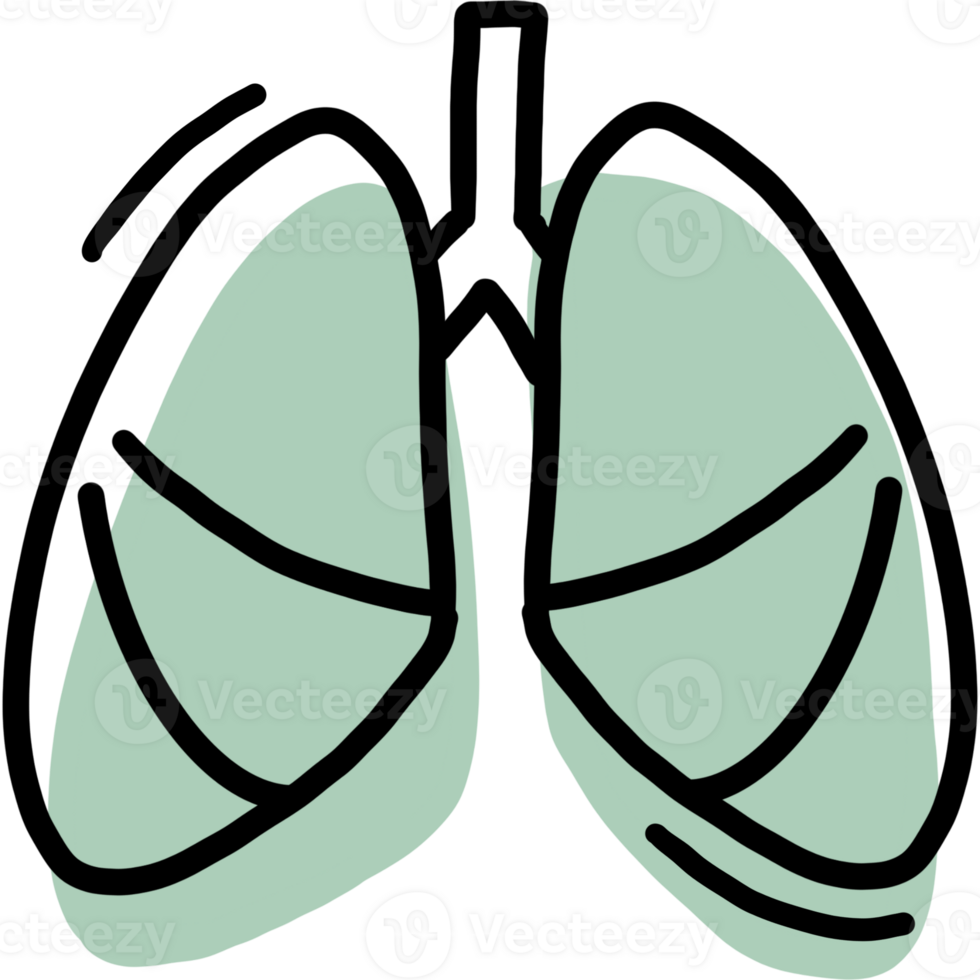 Medical operation organ png