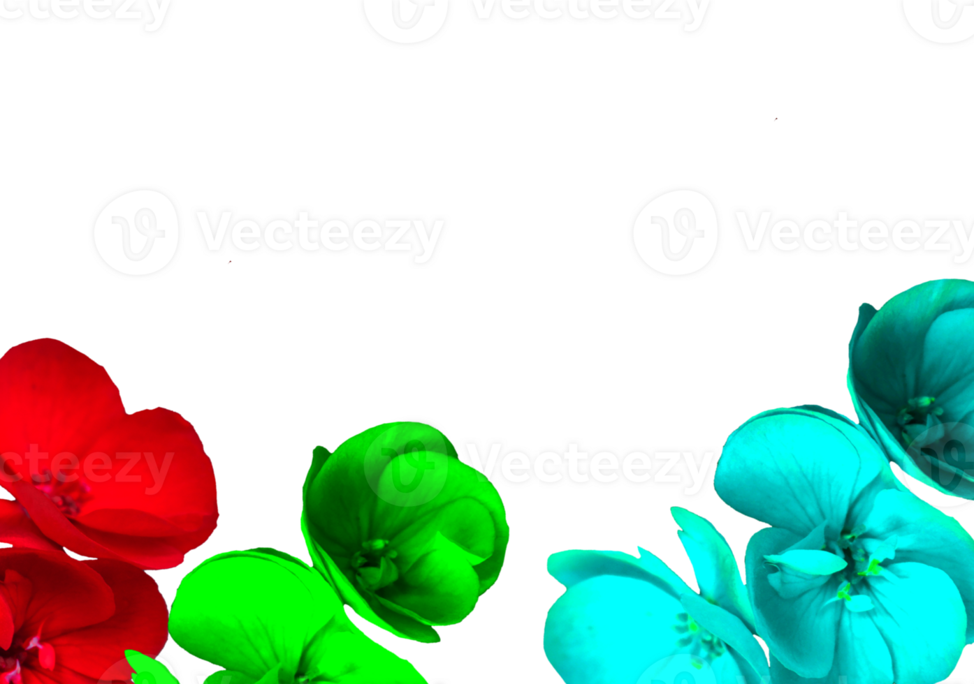 flower png download in hd