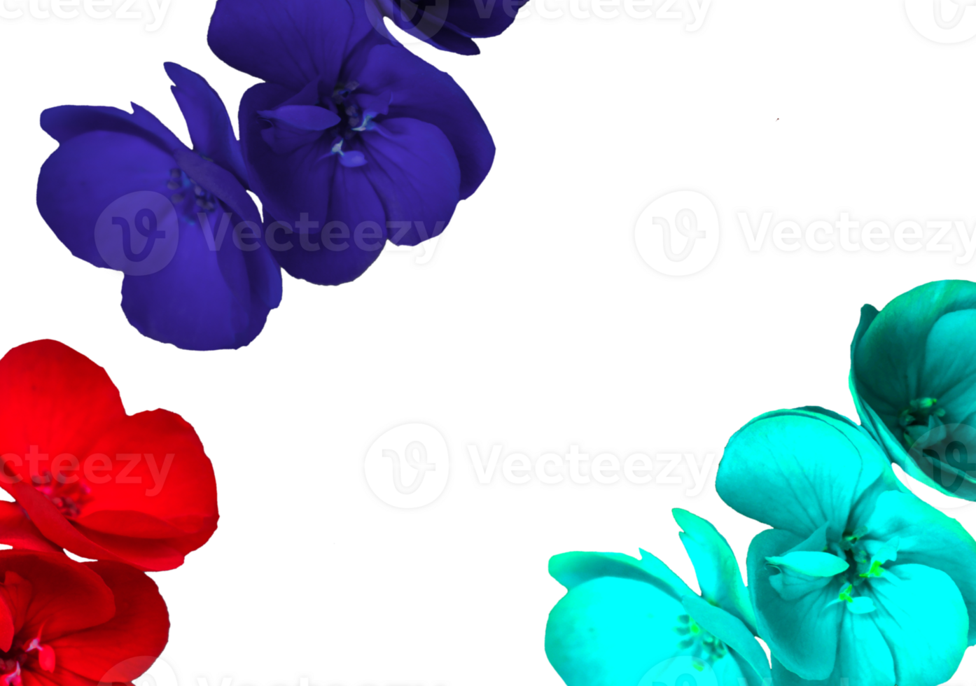 flower png download in hd