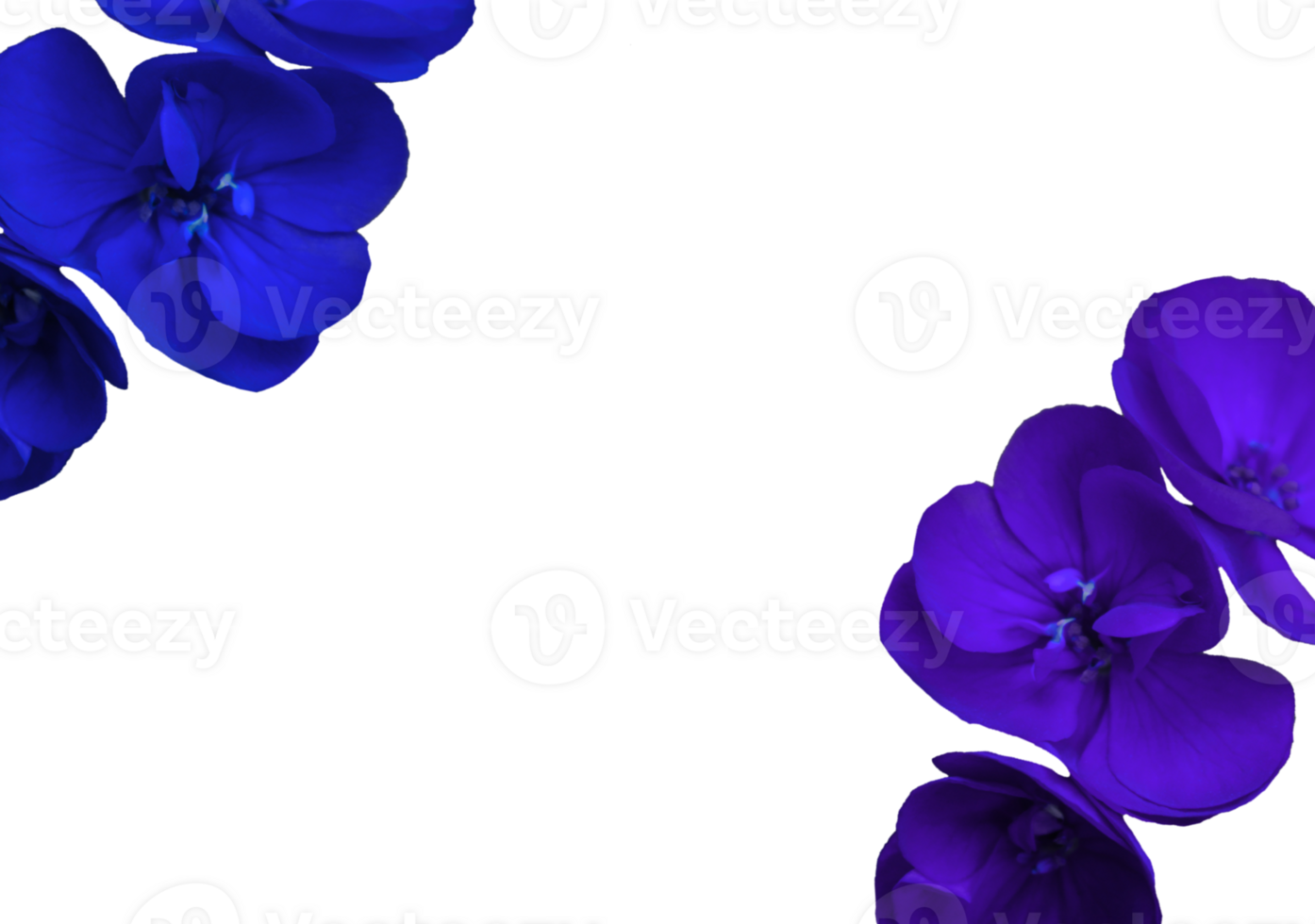 flower png download in hd