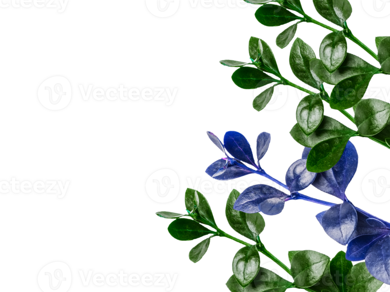 flower png download in hd