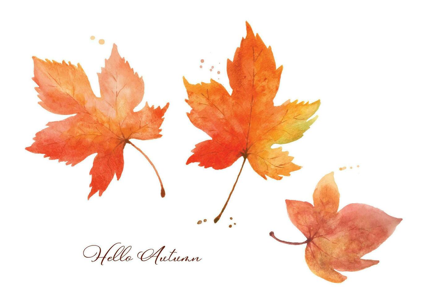 Watercolor autumn maple leaves. vector
