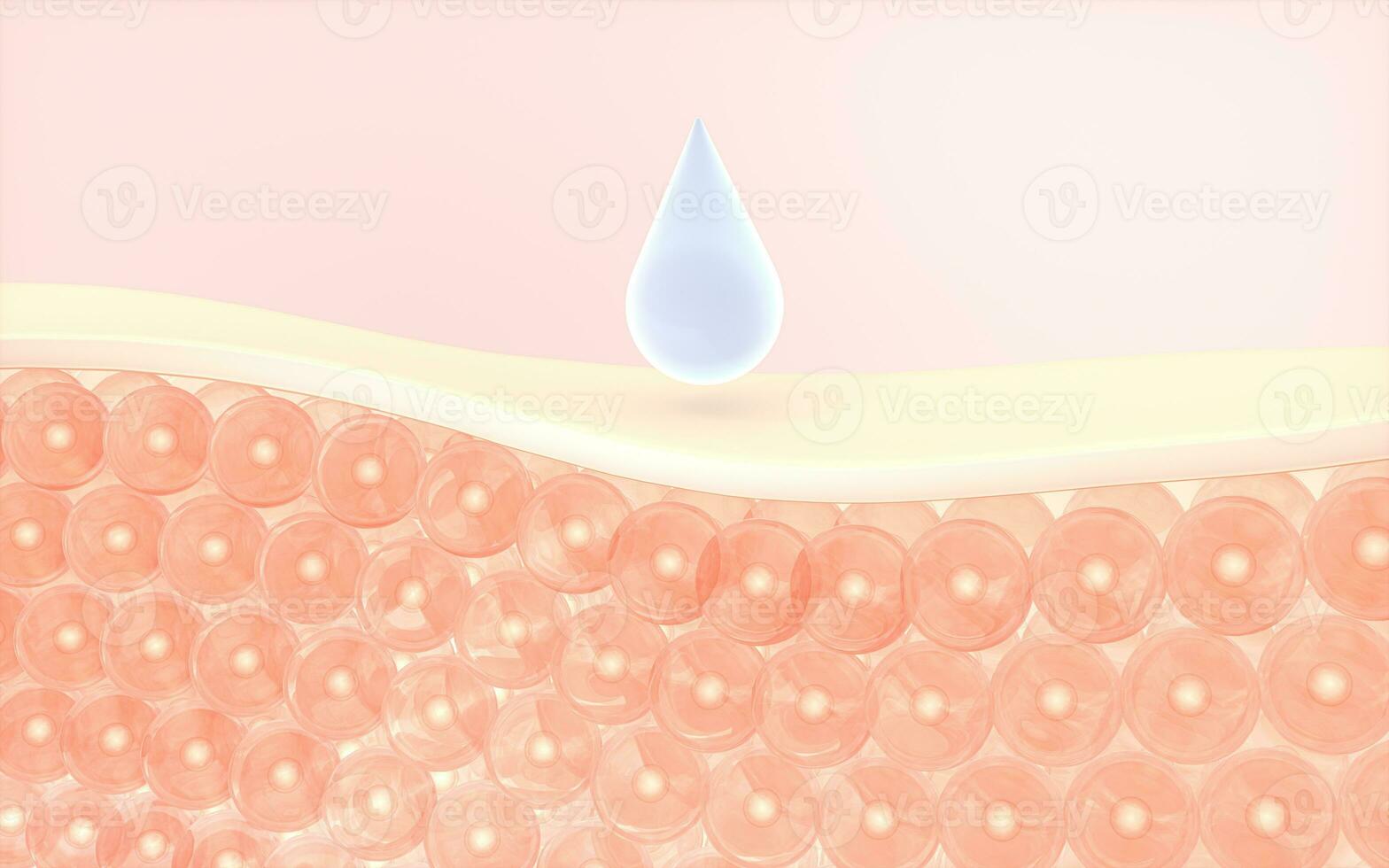 Skin cells absorb the serum, 3d rendering. photo