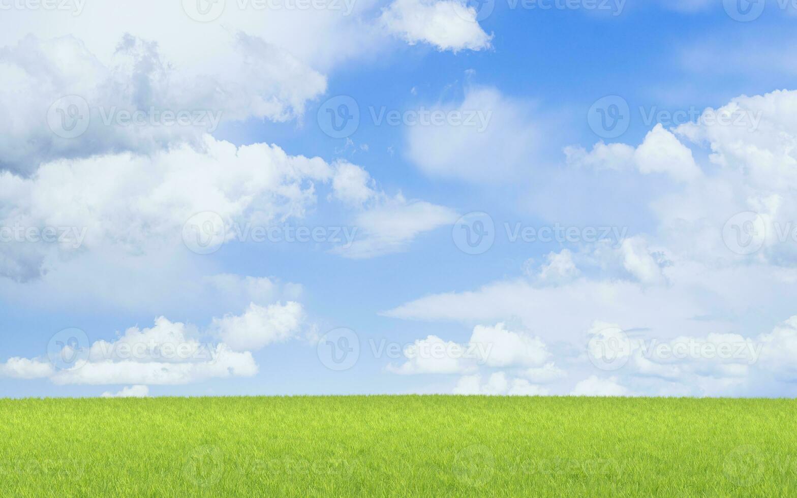 Green grassland and blue sky, 3d rendering. photo