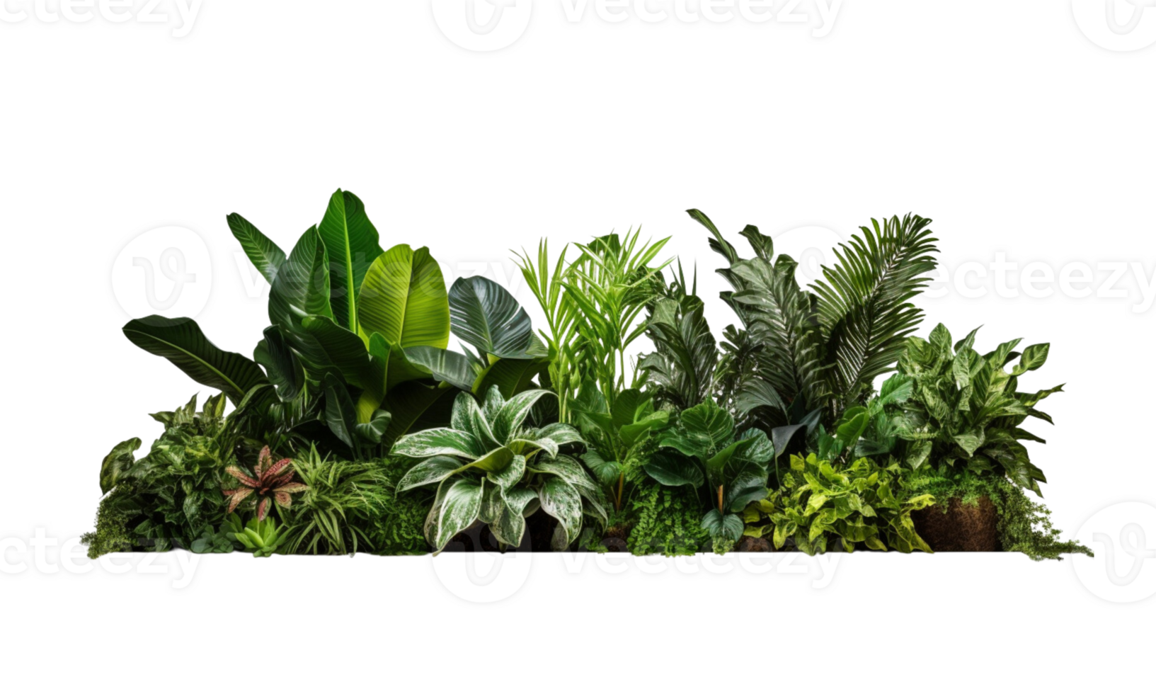 AI Generated Bushes consisting of various types of plants and wild leaves are arranged together against a transparent background. png
