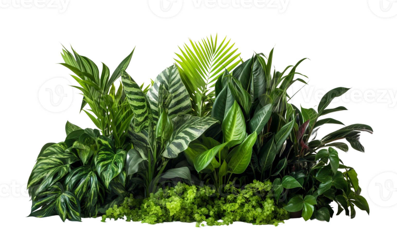 ai généré des buissons qui consiste de divers les types de les plantes et sauvage feuilles sont arrangé ensemble contre une transparent Contexte. png