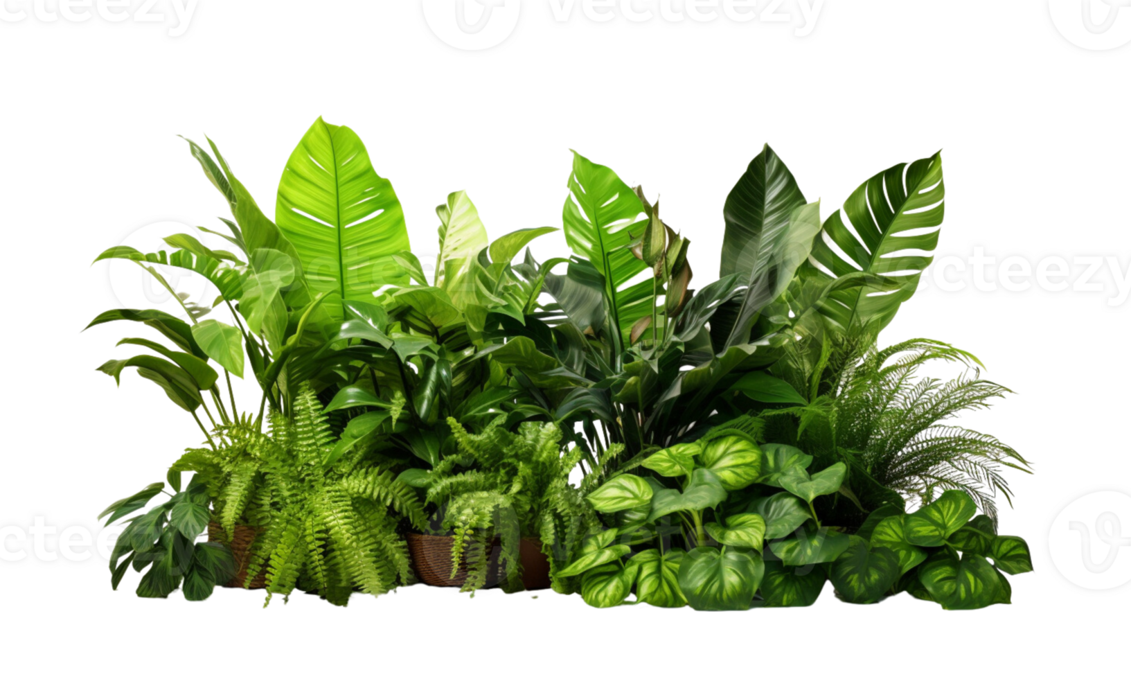 AI Generated Bushes consisting of various types of plants and wild leaves are arranged together against a transparent background. png