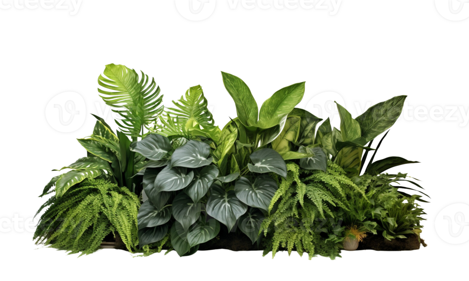 AI Generated Bushes consisting of various types of plants and wild leaves are arranged together against a transparent background. png