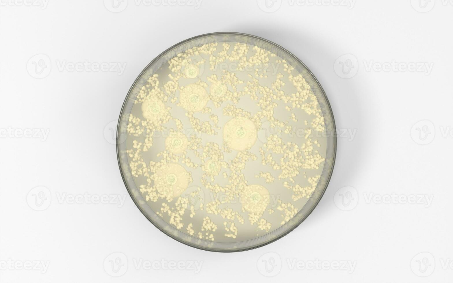 The germs in the petri dish, 3d rendering. photo
