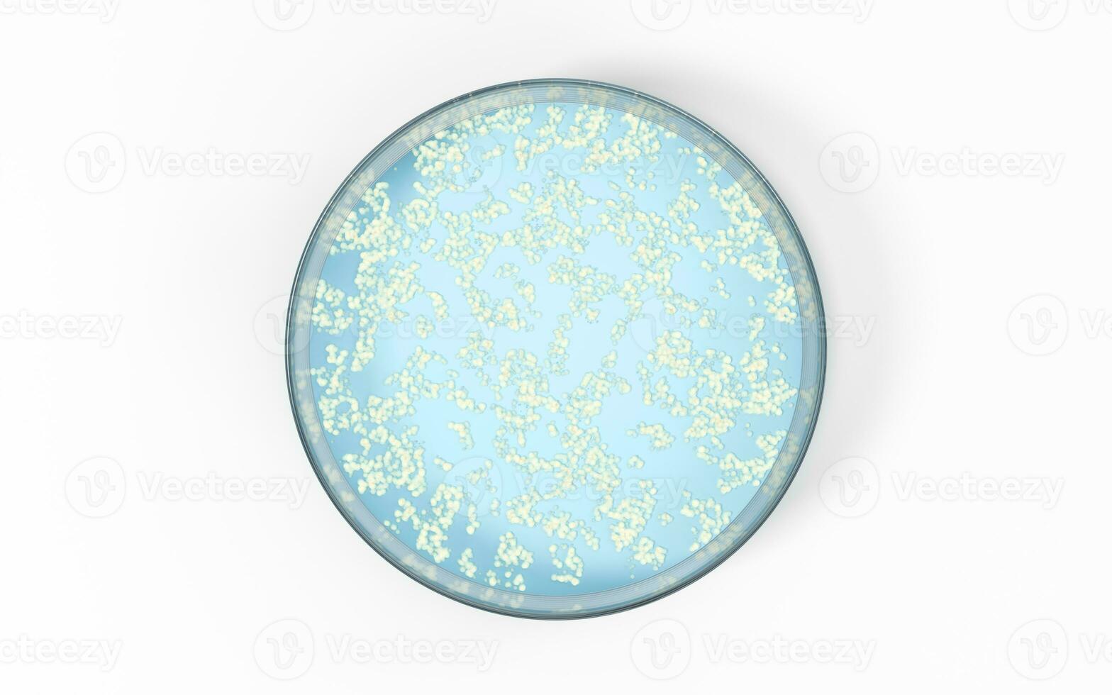 The germs in the petri dish, 3d rendering. photo