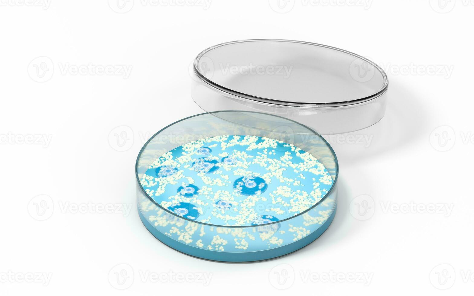 The germs in the petri dish, 3d rendering. photo