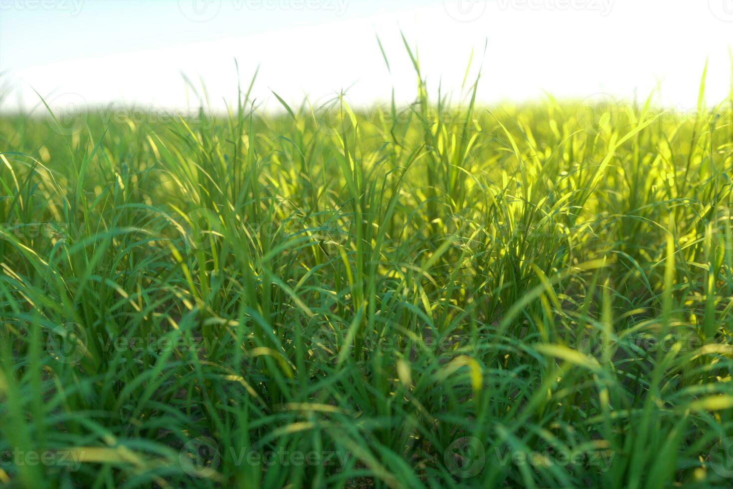 verde césped y brillante campo natural paisaje, 3d representación. foto