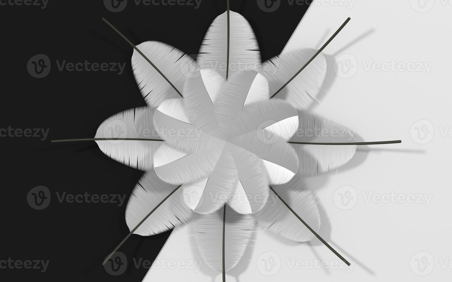 Creative soft feather background, 3d rendering. photo