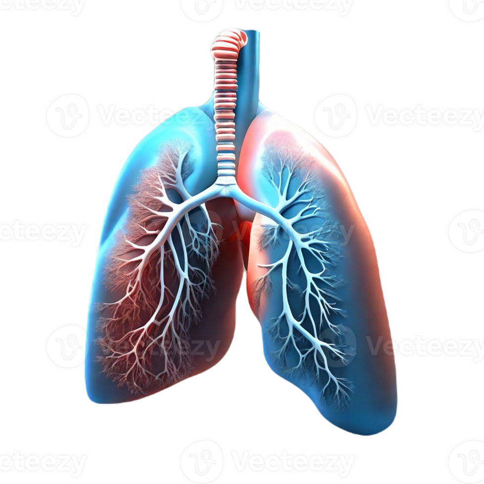 Lungs Human Generative AI png