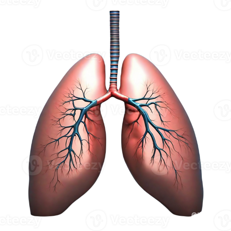 Lungs Human Generative AI png