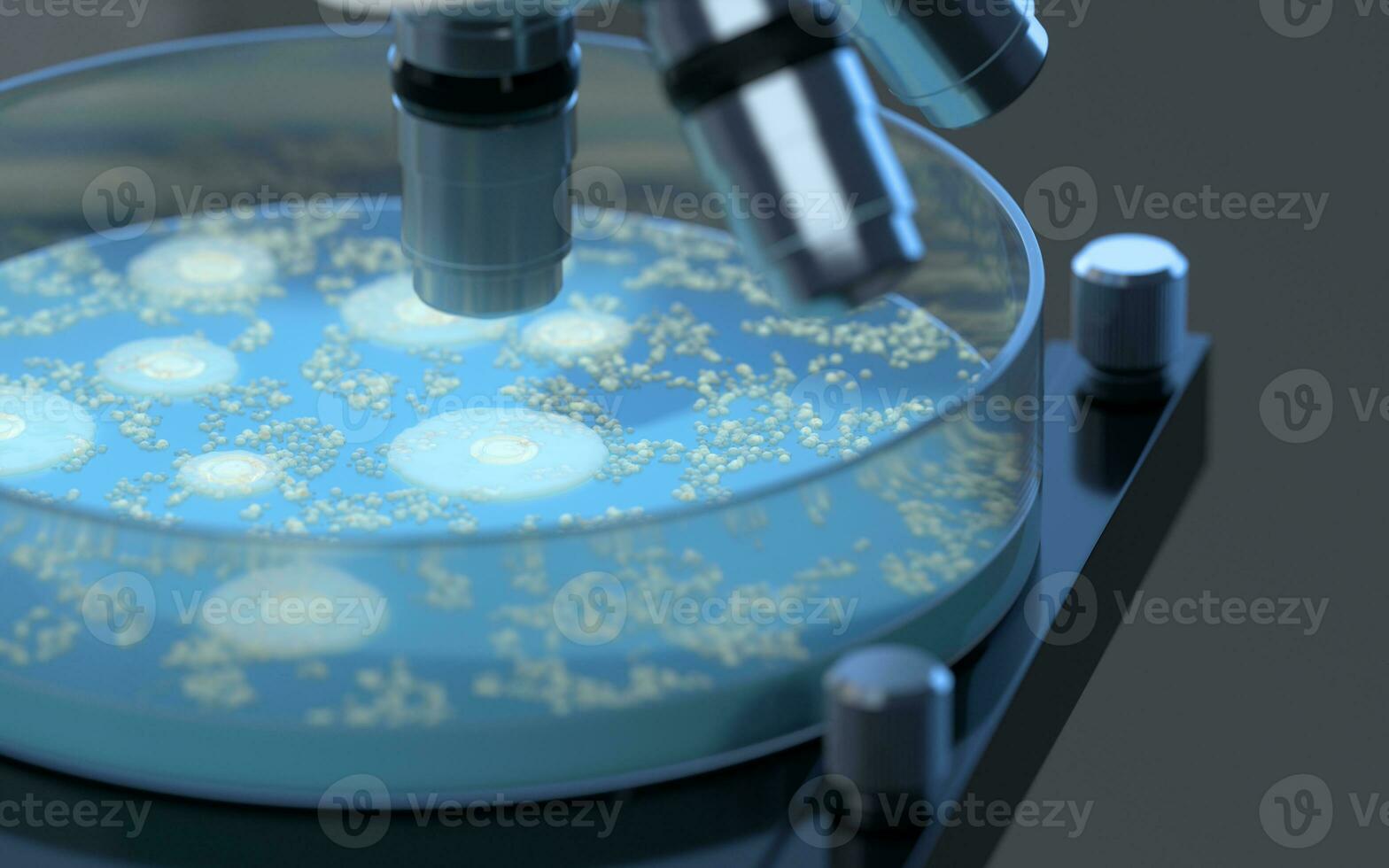 The germs in the petri dish, 3d rendering. photo